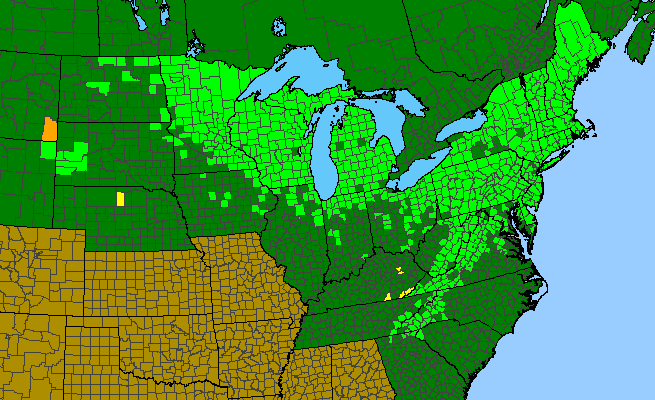 The range of Maianthemum canadense